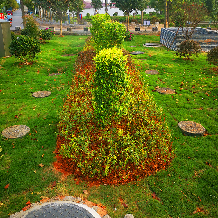 四川貢縣某環(huán)境公司定制景區(qū)污水處理設(shè)備